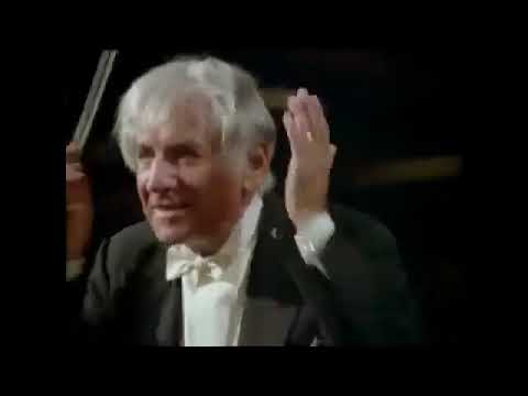 Beethoven symphony no 7 / leonard bernstein
