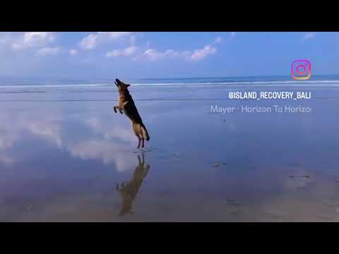 Island Recovery Bali thumbnail