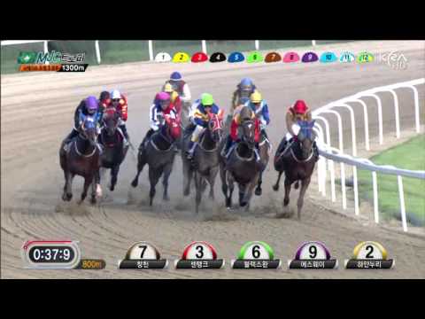 Noel Callow - Seoul Macau Jockey Club Trophy 2013