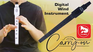 Video thumbnail for Духовой контроллер Carry-On Digital Wind Instrument (блокфлейта, миди-контроллер) by PopMusicRu