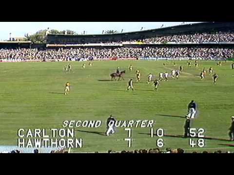 Half Time - 1982 Round 4