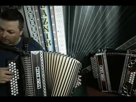 TIMI ZAJC C F B - PLAZNIK STIMA