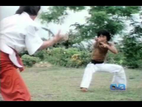 Distribution Network - CVA (Classic Video Archives)