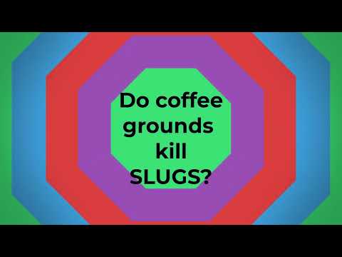 Do coffee grounds kill slugs