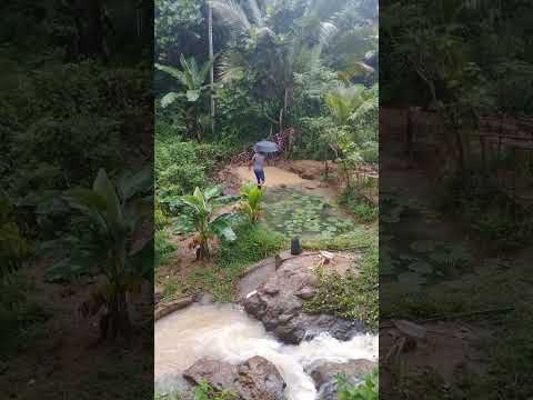 hasitha premoth  you tube channel plese like and sher  in subscriptions