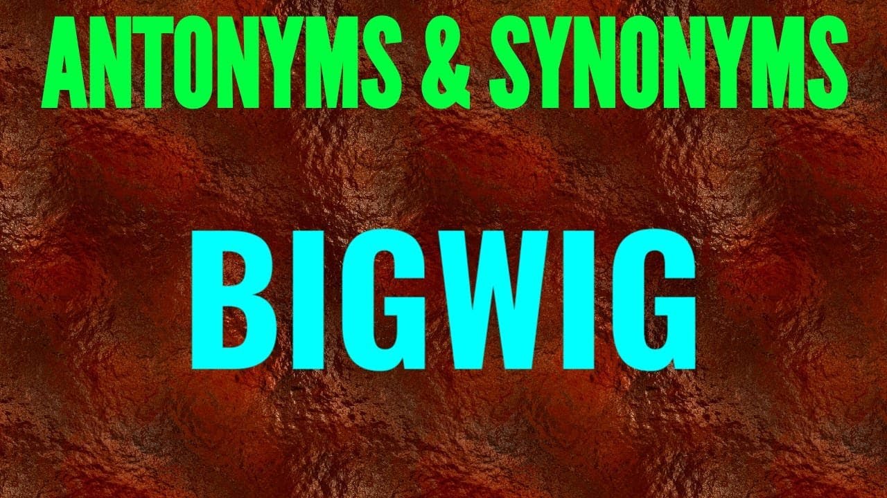 #BIGWIG #SYNONYMS_AND_ANTONYMS #VOCABULARY #SYNONYM #ANTONYM #MEANING_OF_BIGWIG #YOUTUBE_WORDS #SSC