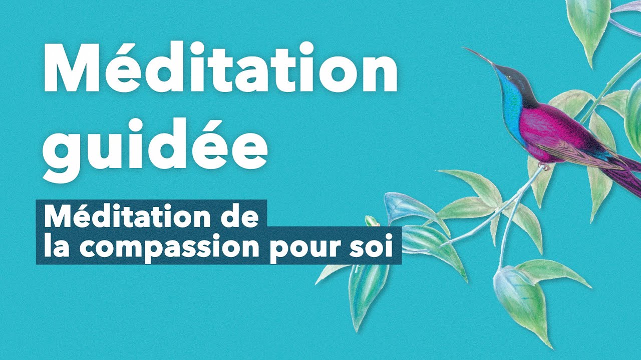 le savoir sur la meditation