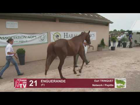 Concours AQPS Cercy 2016 Lot 21 : ENGUERANDE