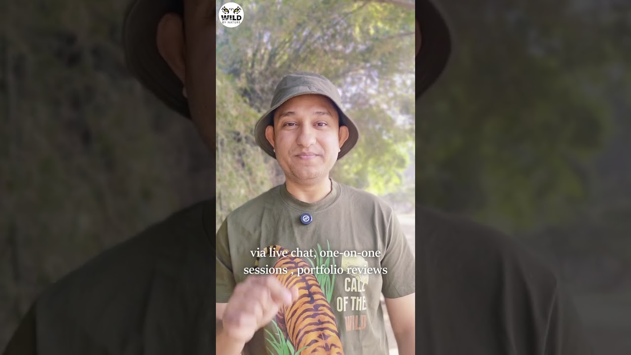 What platform offers wildlife photography mentorship and safari packages?