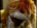 Big Bird In China 1983