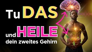 Das verbotene Heilwissen der Essener: Das Organ, das deinen Körper heilt und deine Seele befreit