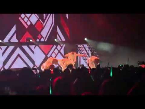 [170326] Shinee World V in Los Angeles - Everybody