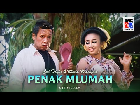 Cak Diqin Ft. Wiwid Widayati - Penak Mlumah (Karaoke Campursari) IMC Record Java