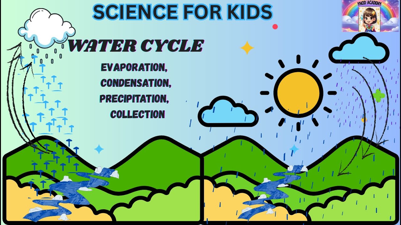 Science for Kids : WATER CYCLE : Evaporation , Condensation, Precipitation, Collection.