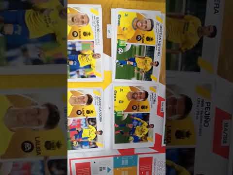 8 de febrero de 2026