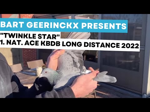 Bart Geerinckx presents Twinkle Star