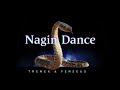 Trenex & Ferseus - Nagin Dance (Albanian Remix) [Official Music] • Copyright Free