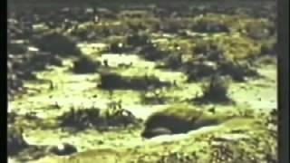 FRANKIE GOES TO HOLLYWOOD - TWO TRIBES (ANNIHILATION MIX)