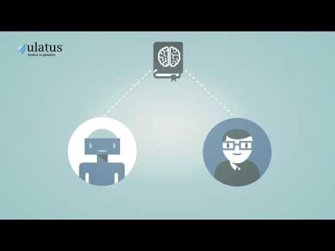 Translation Proxy Solutions