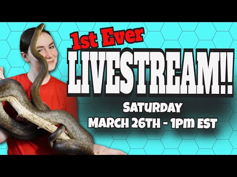 All Canadian Reptile Girl - First Live Stream!!