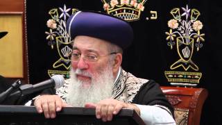 הרשל"צ הרב שלמה עמאר - פרשת תצוה