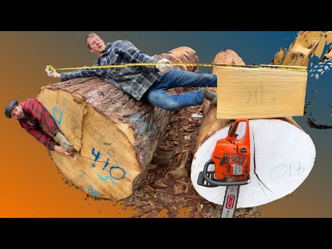 Guitar Tops Made From a Rare Tree (part 1)