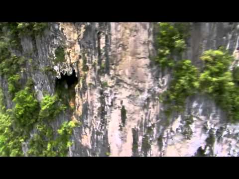 Domy Pirelli - DAYDREAMING (Relax Nature 1080 HD)