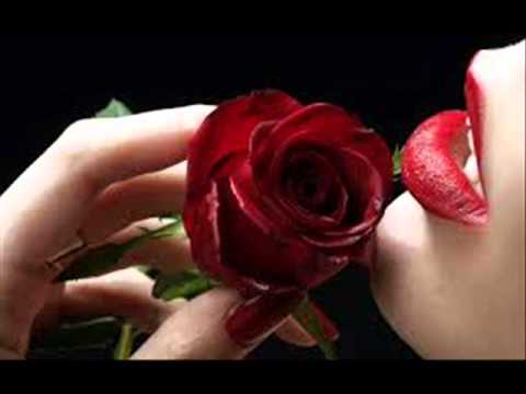 Hajrudin Hodzic- Kad ti draga otruje ruze