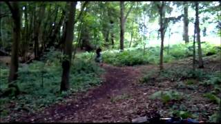 preview picture of video 'Mountain Biking - Track in the Woods'