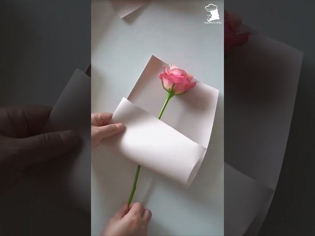 Vídeo relacionado con GARVALON Fundas para Envolver una Sola Flor de Rosa Bolsas Individuales para Embalaje de Flores 50 Unidades para Ramos y Regalos en San Valentín y Ocasiones Obsequios