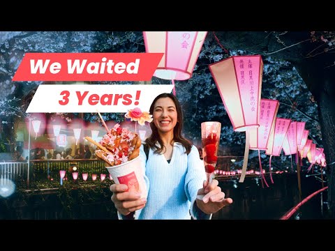 Nakameguro Sakura Festival is Back: We Tried All the Cherry Blossom Foods! 🌸