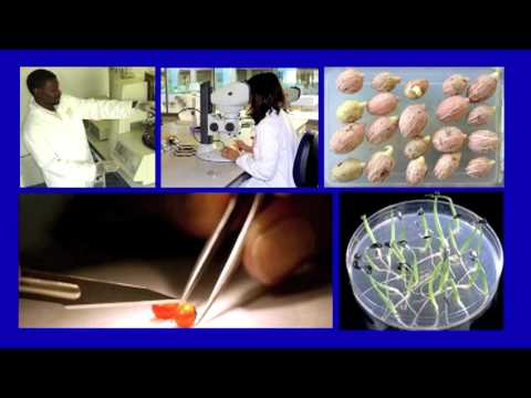 Why we're storing billions of seeds