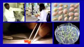 Jonathan Drori: Why we're storing billions of seeds