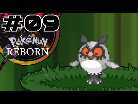 Malchous Forest • Pokémon Reborn Hardcore Nuzlocke • 09