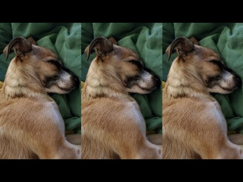 15 minutes of real, actual work...(Office Space parody)1999