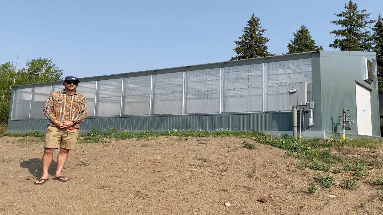 Tour Ceres: Montana Tech Greenhouse Grows Starts for a Native Plant Revegetation Program