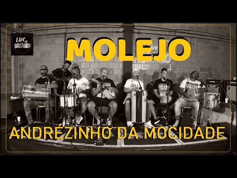 ANDRÉZINHO DA MOCIDADE CANTA MOLEJO - Sim, é Samba!