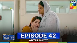 Download lagu Ant Ul Hayat Episode 42 mp3 Download lagu Ant Ul Hayat Episode 42 mp3