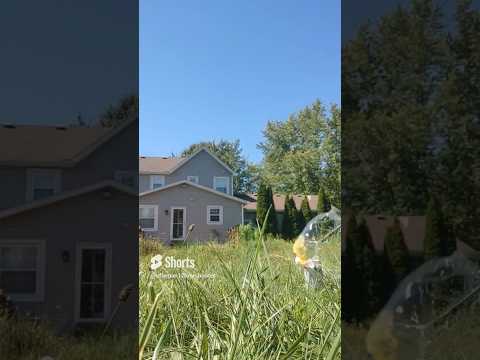 (REVIEW) The Crosman Diamondback Nitro Piston Elite | Air rifle #1| INSANELY HIGH SPEEDS