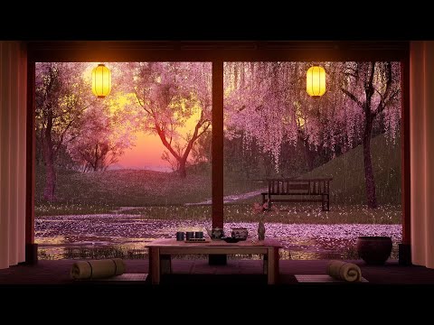 Rain in Spring Sakura Garden Ambience - Relaxing rain sound for stress relief, insomnia, study, work