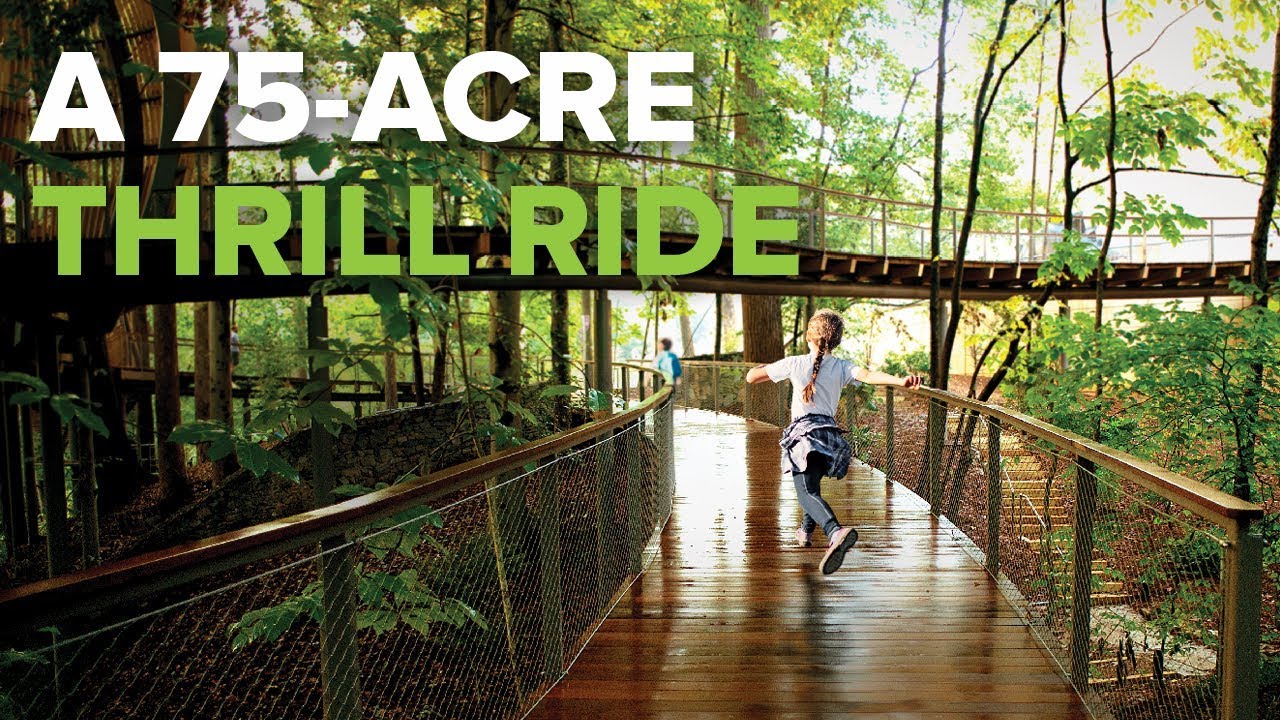 Fernbank Museum | 3D Theater | Museum