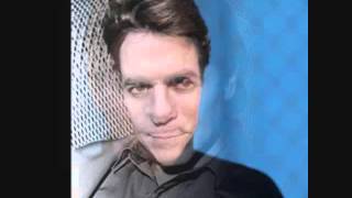 Robert Palmer - Some Guys Have All the Luck