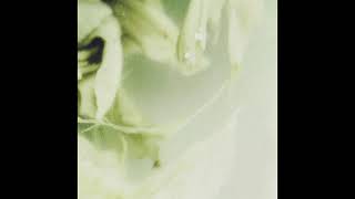 Beautumn — As the snow leaves the ground • Ambient