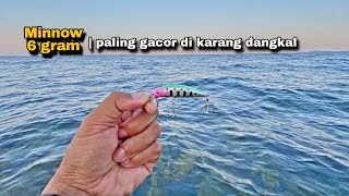 Download lagu Umpan Minnow Gacor !! Untuk mancing casting ngoyor di Karang Dangkal mp3