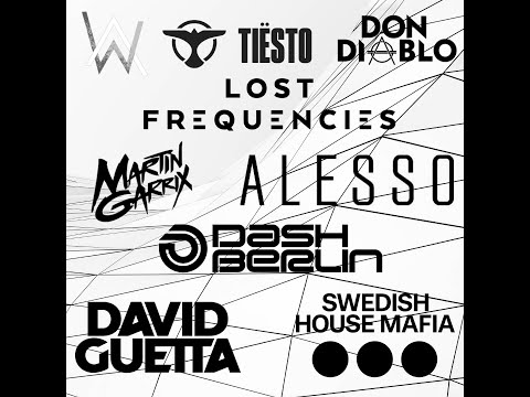 Avicii, Alesso Swedish house of mafia, Axwell Ingrosso, Martin Garrix.