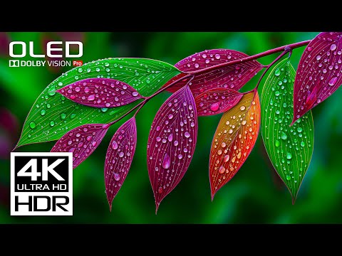 The Best of The Best Dolby Vision 4K Video HDR 60FPS - Relaxing Music for Stress Relief