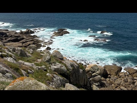 Shallow (Lady Gaga & Bradley Cooper) - Flute Cover w/ Sheet Music