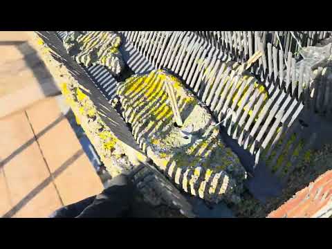 Chimney Seagull Cages - Image 2