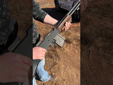 Browning BAR type II. 300 Win. mag. review.