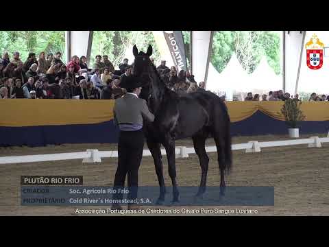 240128 56 Plutão Rio Frio - Aprovação de Reprodutores